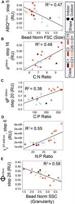 Cellular traits regulate fluorescence-based light-response phenotypes of coral photosymbionts living in-hospite